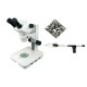 Binocular Microscópio Estereoscópico com zoom - TNE -10BN 